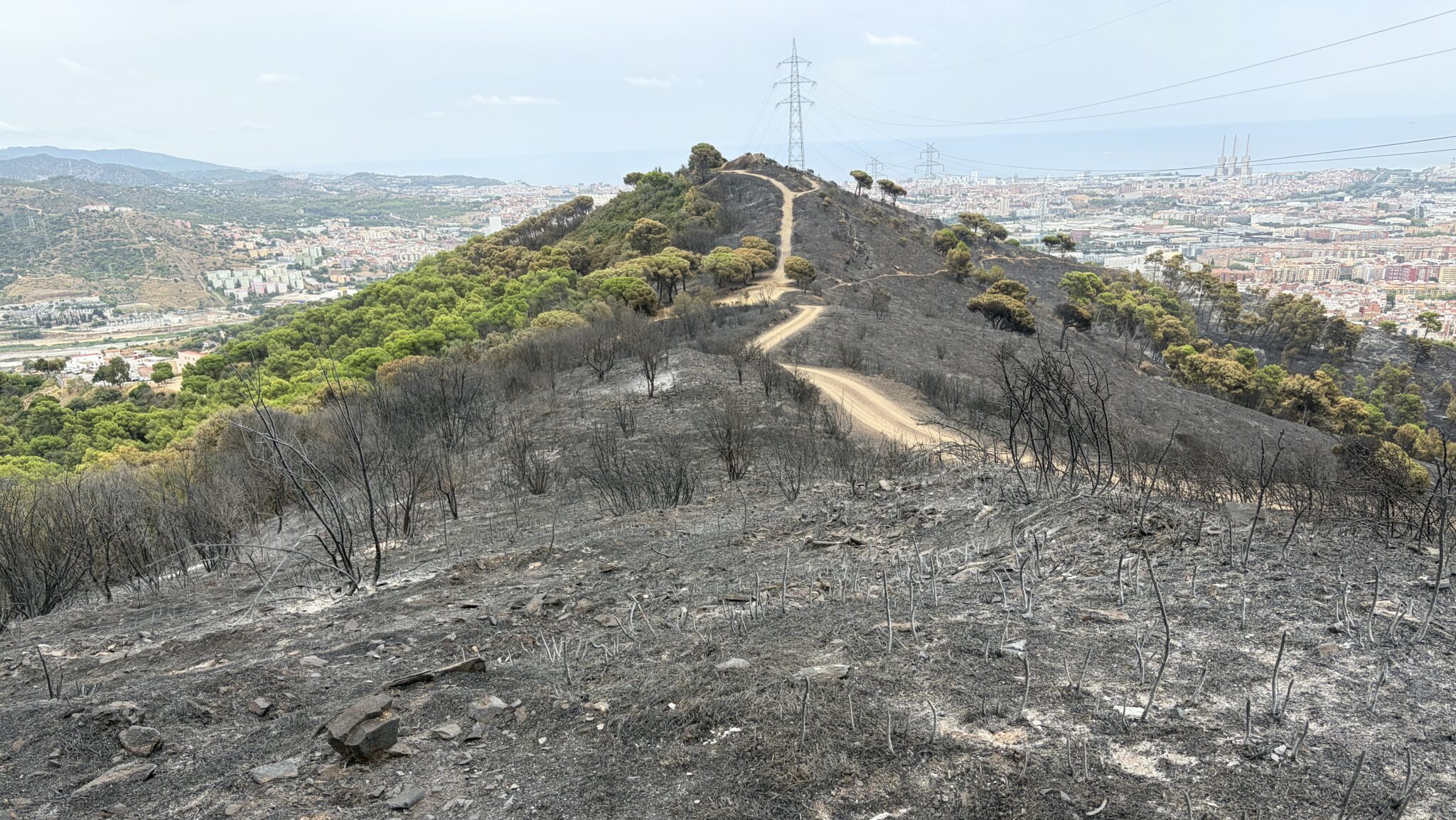 El foc de Nou Barris, el més devastador de Collserola des de l'incendi de la Floresta i les Planes del 94