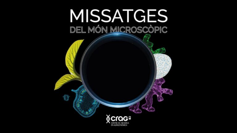 Inauguració d'exposició: 'Missatges del món microscòpic', d’Adrià Redondo - Imatge destacada